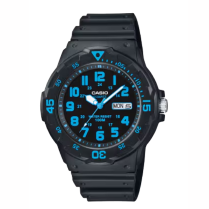 CASIO MRW200H-2BVDF Analog Men Watch